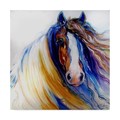 Trademark Fine Art Marcia Baldwin 'Gypsy Vanner Rouge' Canvas Art, 14x14 ALI34625-C1414GG